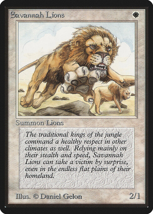 サバンナ・ライオン（Savannah Lions）