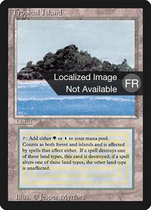 Ile tropicale（Tropical Island）